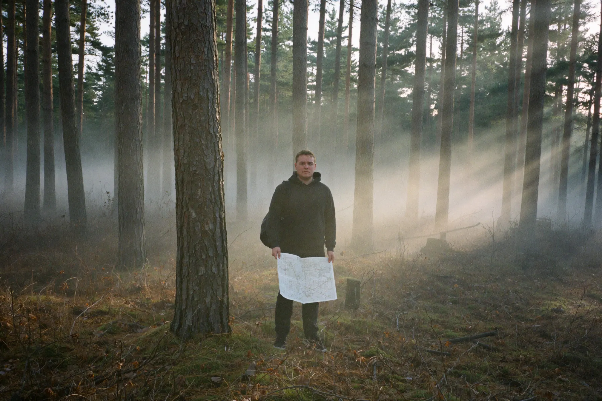 Mit KI erzeugt: Im Wald, weit