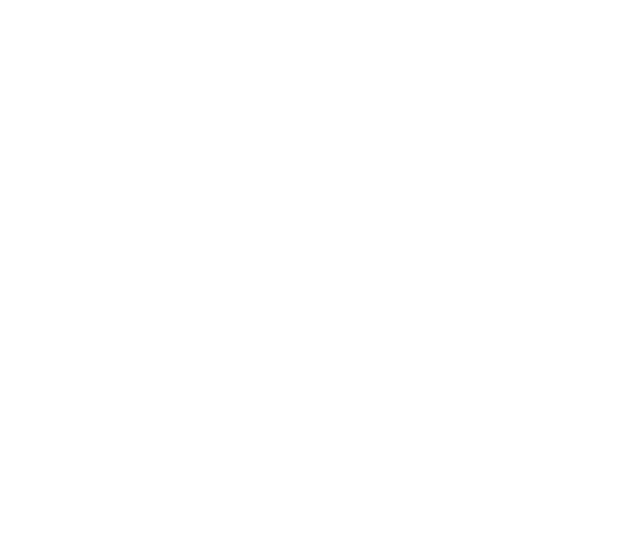 Janeos Beteiligungen — Logo